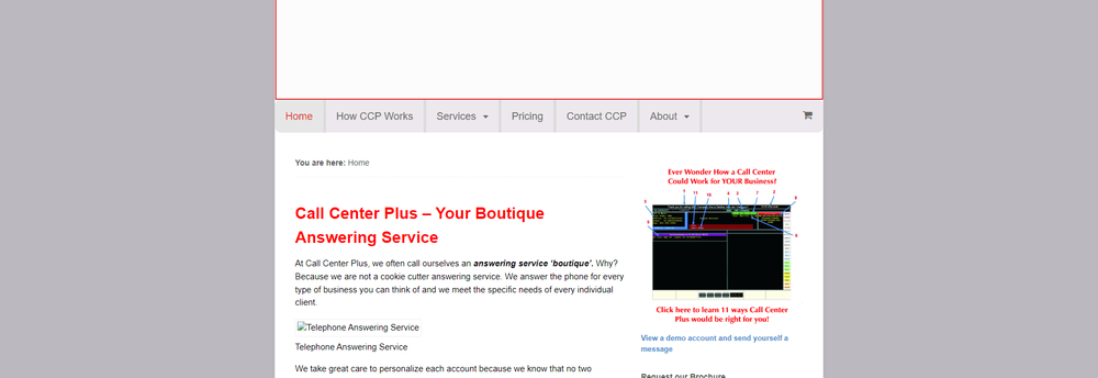 Call Center Plus cover