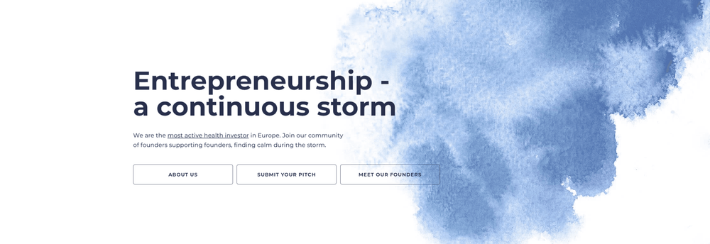 Calm/Storm Ventures cover