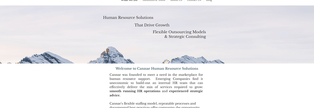 Cannae HR Solutions cover