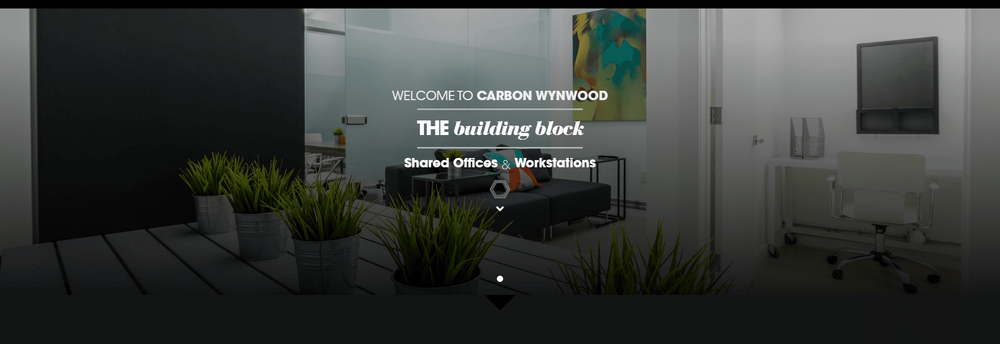 Carbon Wynwood cover