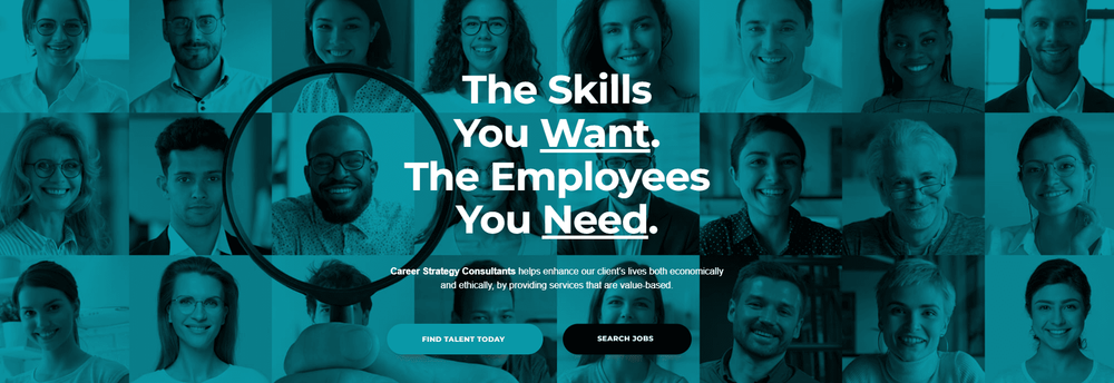 Career Strategy Consultants cover