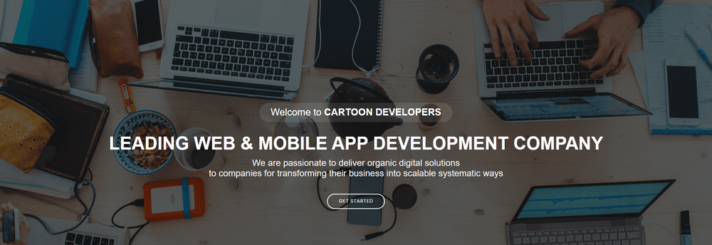 Cartoon Developers cover