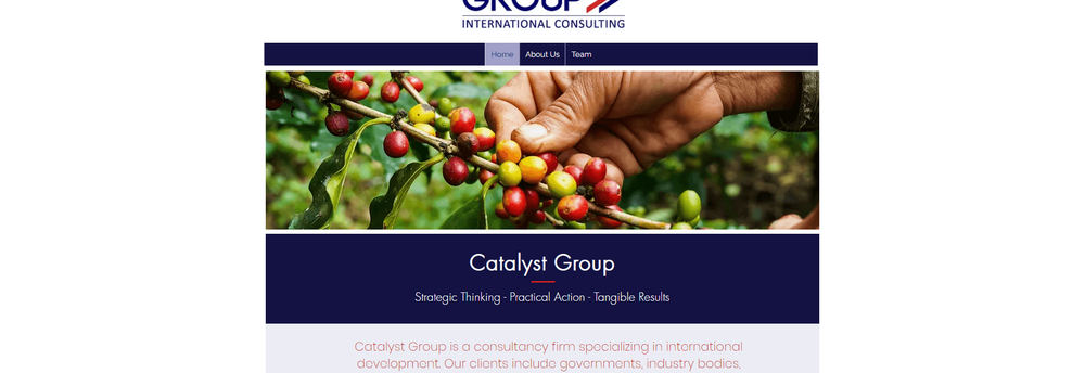 Catalyst Group LLC cover