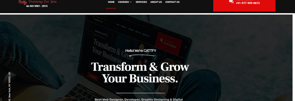 CATTFY cover