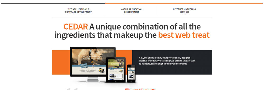 Cedar Software Technologies cover