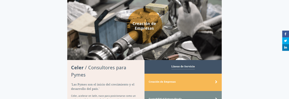 Celer Consultores para Pymes cover