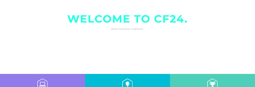 CF24 Web Services cover