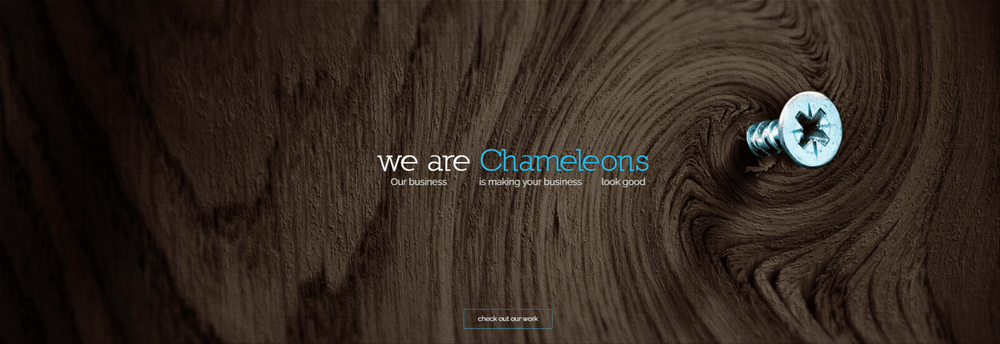 Chameleon Creative cover