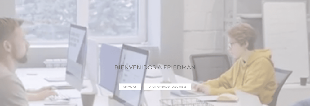 Consultora Friedman cover