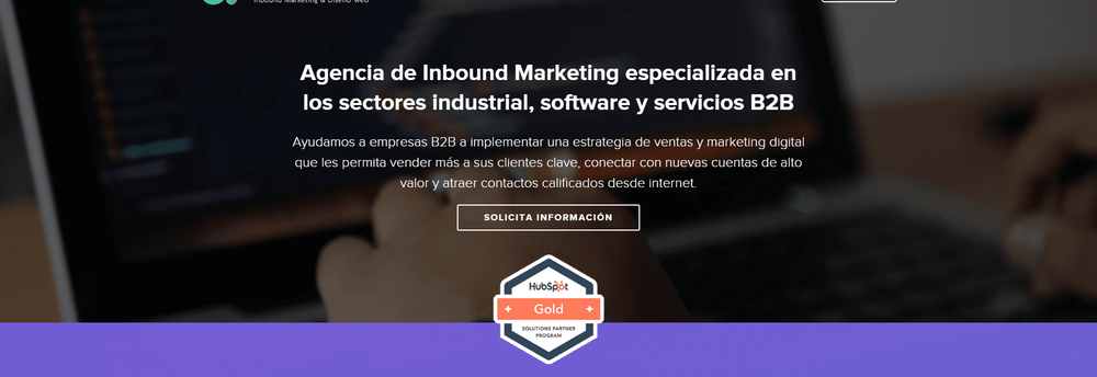Consultores Web cover