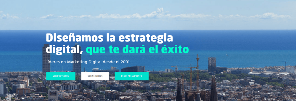 CONSULWEB cover