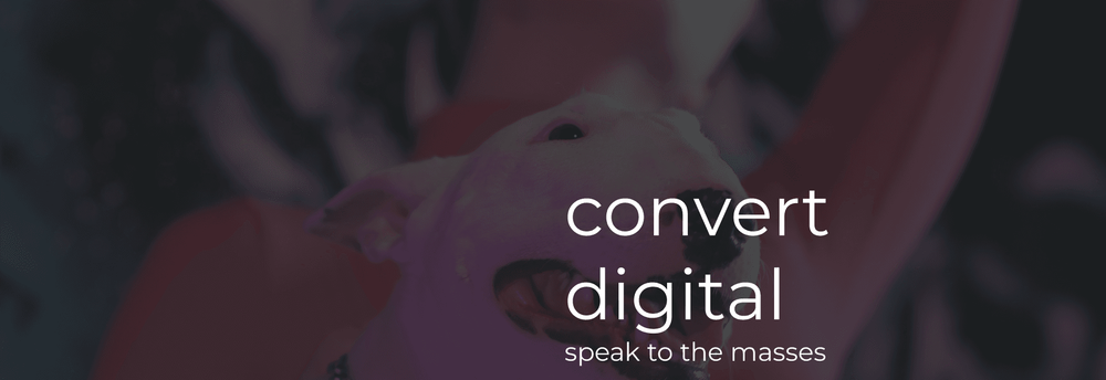 Convert Digital cover