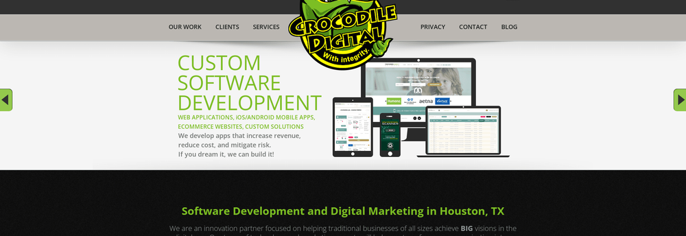 Crocodile Digital Corporation cover