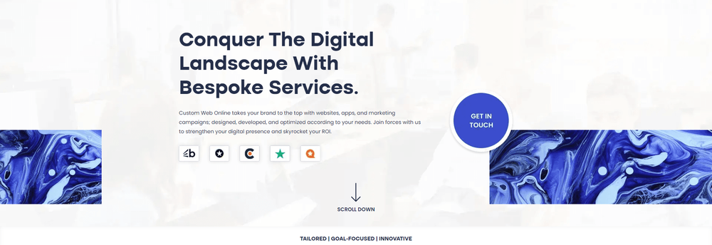 Custom Web Online cover