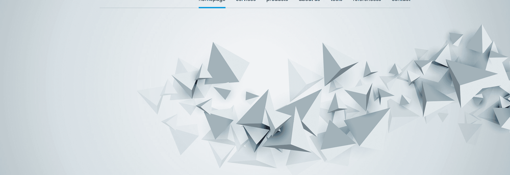 cWebSpace cover