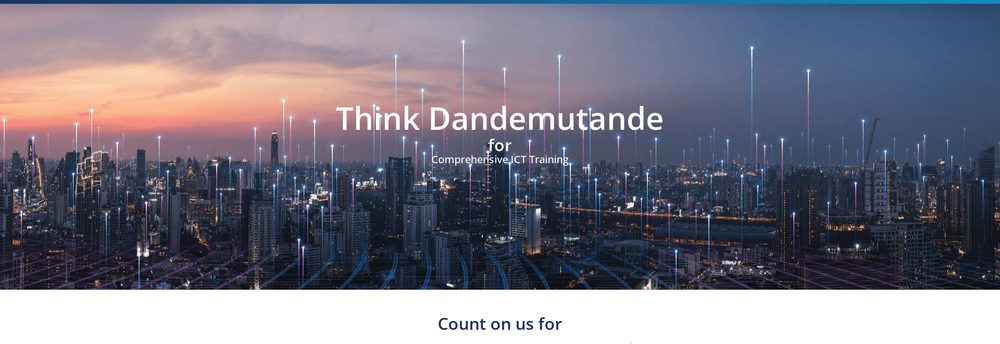 Dandemutande Investments cover