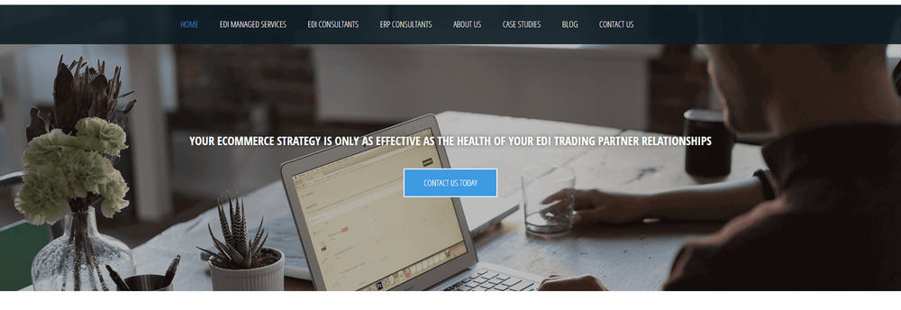 Data Integration Specialists, LLC cover