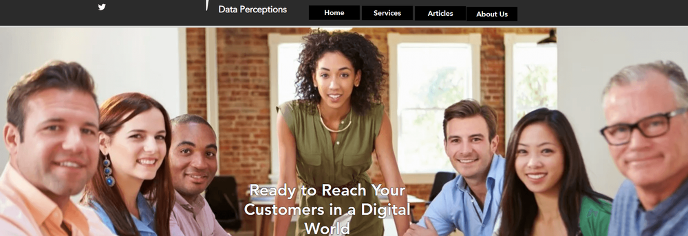 Data Perceptions Inc. cover