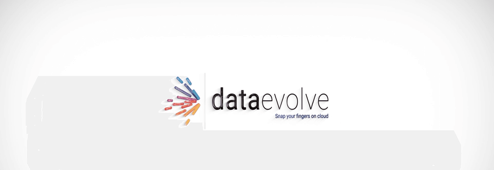 DATAEVOLVE SOLUTIONS cover