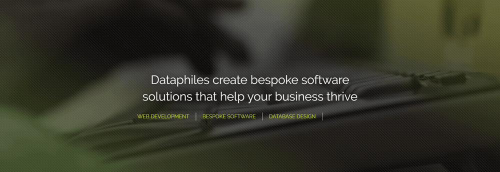 Dataphiles Ltd cover