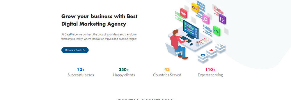 DataPierce Consulting cover