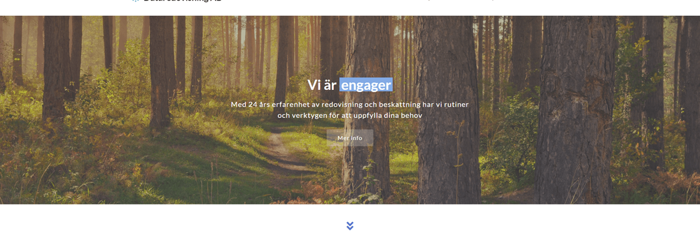 Dataredovisning i Skåne AB cover