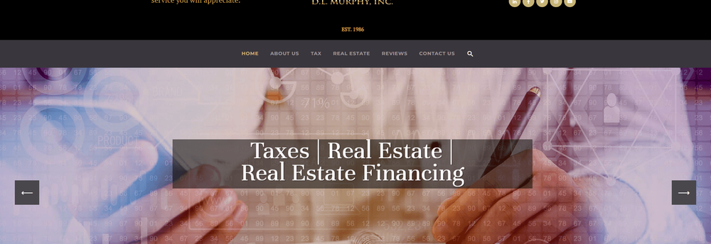 David L Murphy Tax Preparation cover