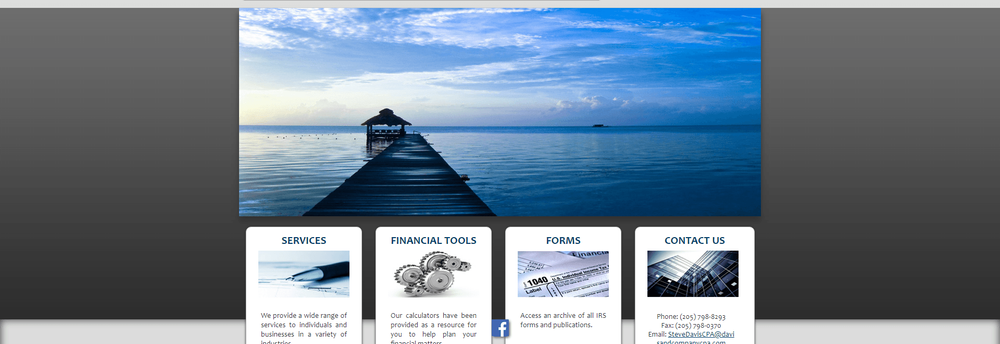 Davis Accounting Services Inc cover
