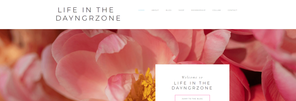 DayngrZone Media cover