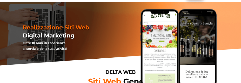 Delta Web cover