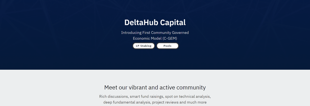 DeltaHub Capital cover