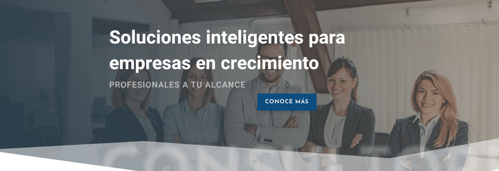 Den Consultores SC cover