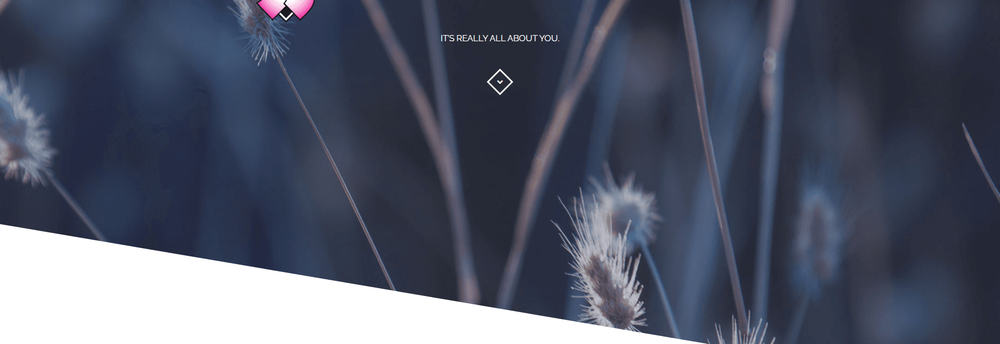 DESIGN STUDIO cover