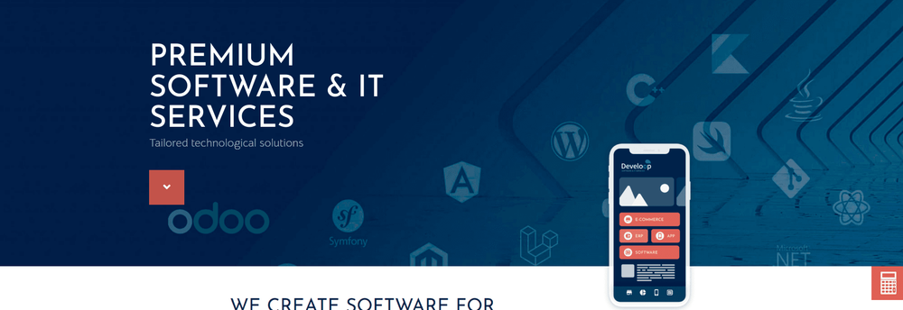 DEVELOOP SOFTWARE cover