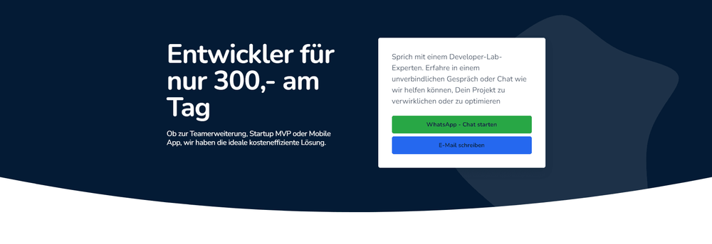 Developer Lab cover