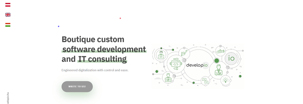 developio cover