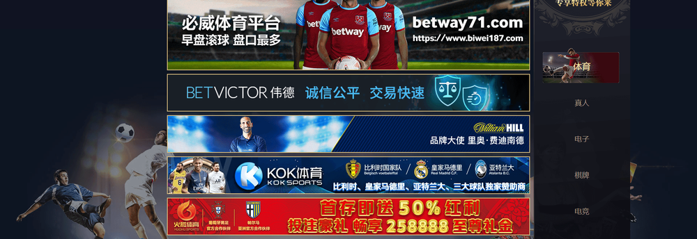 DG WebWorks cover
