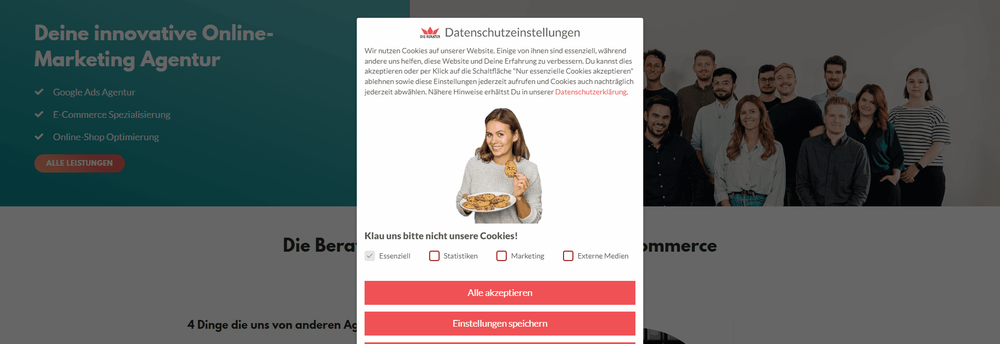 Die Berater cover