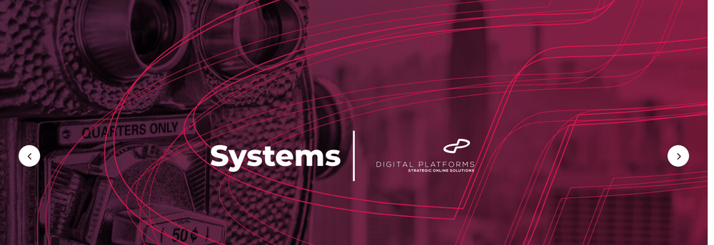 Digital Platforms cover
