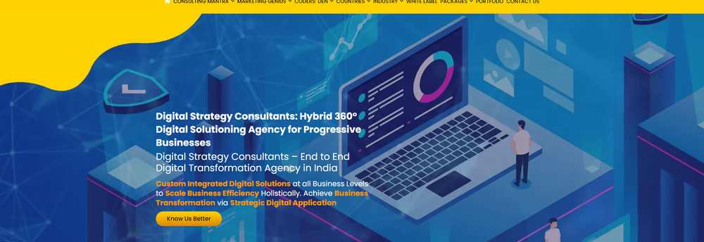 Digital Strategy Consultants cover
