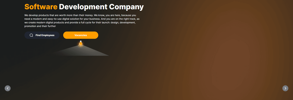Direlli LLC cover
