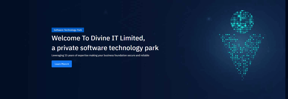 Divine IT Limited cover