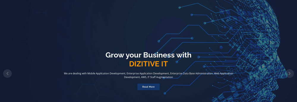 DIZITIVE IT SOLUTIONS cover