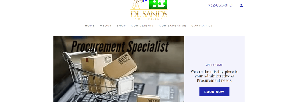 DL SANDS SOLUTIONS LLC cover