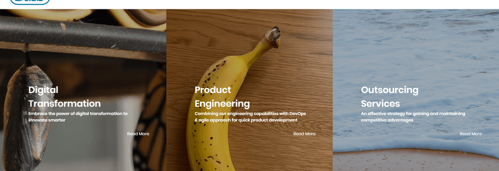 DMS Software Engineering (Pvt) Ltd cover