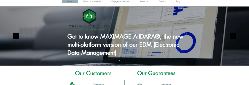 DQM Software Inc. cover
