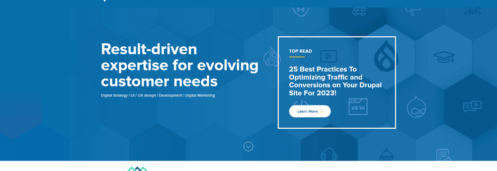 Drupal Partners cover
