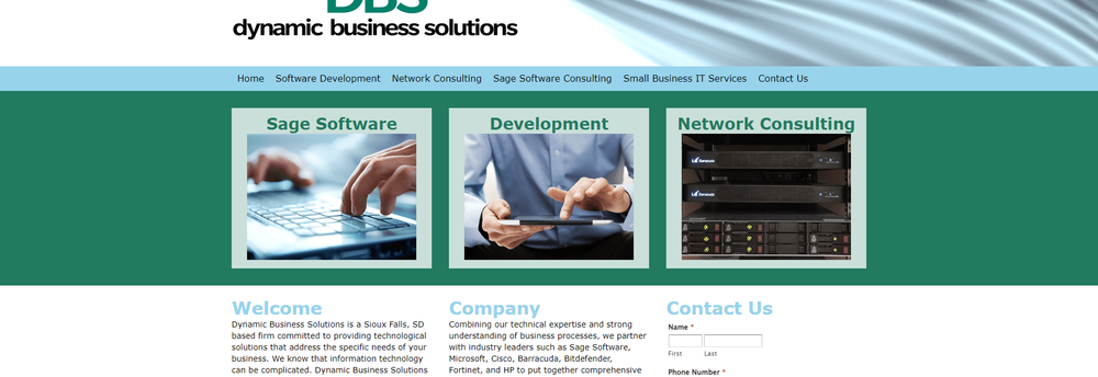Dynamic Business Solutions cover