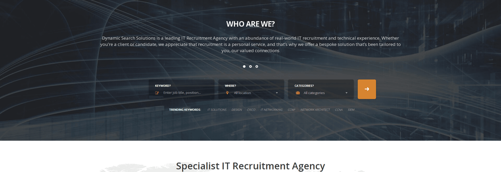 Dynamic Search Solutions cover