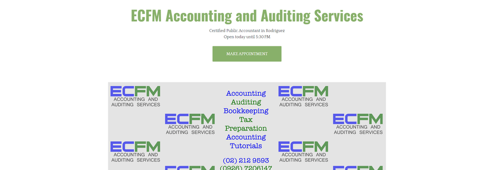 ECFM Accounting and Auditing Services cover